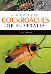 Guide to the Cockroaches of Australia
