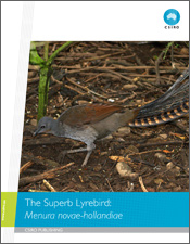 cover of The Superb Lyrebird: <i>Menura novae-hollandiae</i>