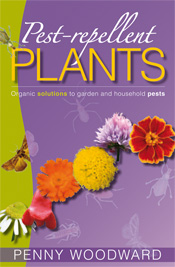 Cover is a curved row of flower heads against a purple background with bug