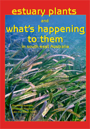 cover of Estuary Plants and What's Happening to them in South-East Austra