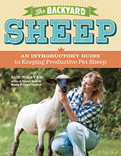 cover of The Backyard Sheep