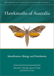 Cover of Hawkmoths of Australia, featuring a moth with brown and orange wings, set against a white and green background.