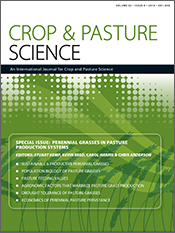 cover of Perennial Grasses in Pasture Production Systems