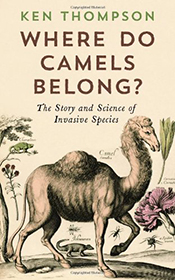 cover of Where Do Camels Belong