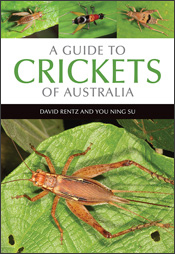 Cover of A Guide to Crickets of Australia, featuring a large photo of Card