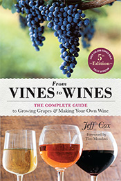 An image of a bunch of grapes on a vine and a photograph of three glasses
