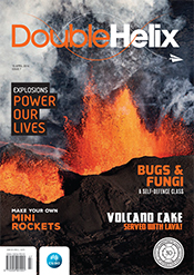 cover of Double Helix Issue 07