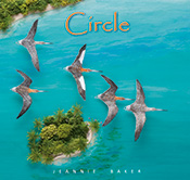 Cover image of illustrated birds flying over a tropical island