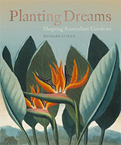 Painting of the Strelitzia reginae, or Bird of Paradise plant.