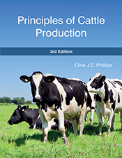 Cover with three black and white cows walking on green grass with blue sky.