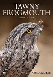 Cover featuring a profile photograph of an alert Tawny Frogmouth with oran
