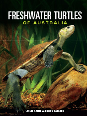 Cover image featuring green and brown turtle in diagonal position.