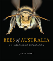 Cover of Bees of Australia featuring a macro photograph of a bee facing directly towards the reader