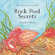 Illustration of a crab and seaweed.