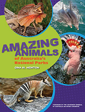 A collage of Australian animals on a colourful background.