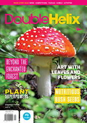Cover of Double Helix magazine Issue 39 featuring a mushroom with a white stem and a glossy, bright red cap with white bumps.