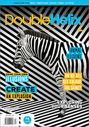 Cover of Double Helix magazine Issue 44, featuring a zebra blending into a black-and-white striped background.