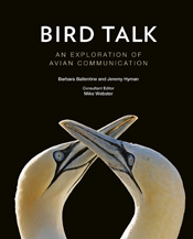 The cover of the book 'Bird Talk' featuring two birds with cream-coloured feathers and grey bills crossing their raised beaks in a courtship ritual, a