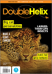 Cover of Double Helix magazine Issue 48, featuring a photo of an African leopard resting on a log and staring directly at the viewer, on a black backg