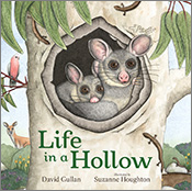 Cover image of Life in a Hollow