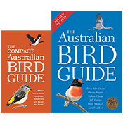 Two book covers side-by-side: the burnt orange cover of 'The Compact Australian Bird Guide' and the larger blue cover of 'The Australian Bird Guide'.