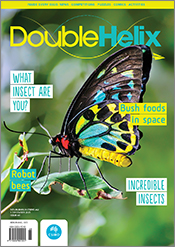 Cover of 'Double Helix' magazine issue 68, featuring a photograph of a bea
