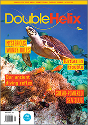 Cover of 'Double Helix' magazine issue 71 showing a turtle swimming over a