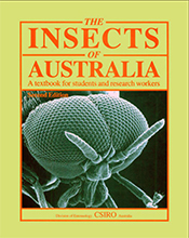 cover of Insects of Australia Volumes 1 and 2
