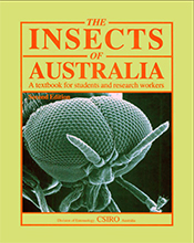 cover of Insects of Australia Volumes 1 and 2 cover of Insects of Australia Volumes 1 and 2