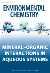 Mineral–Organic Interactions in Aqueous Systems cover image