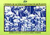 cover of Census of Australian Vascular Plants