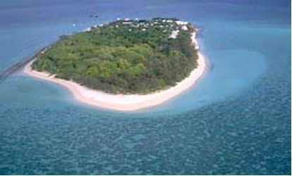Heron Island Resort 