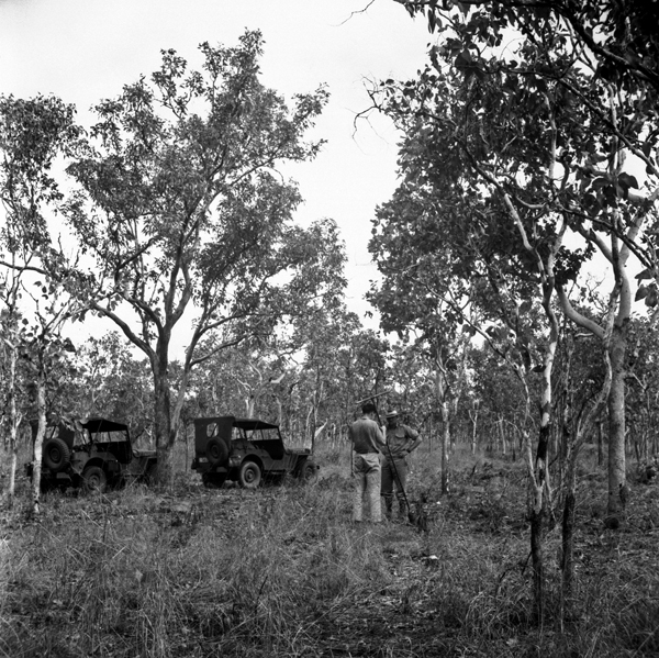 Site between Grove Hill and Burrundi, Northern Territory, Darwin–Katherine Survey 1946 