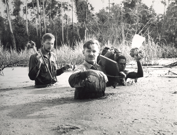 Wading through flooded swamp woodland near Malalaua airstrip, lower Tauri–Lakekamu area New Guinea 1966