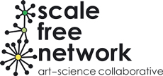 Scale Free Network