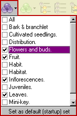 Character sets