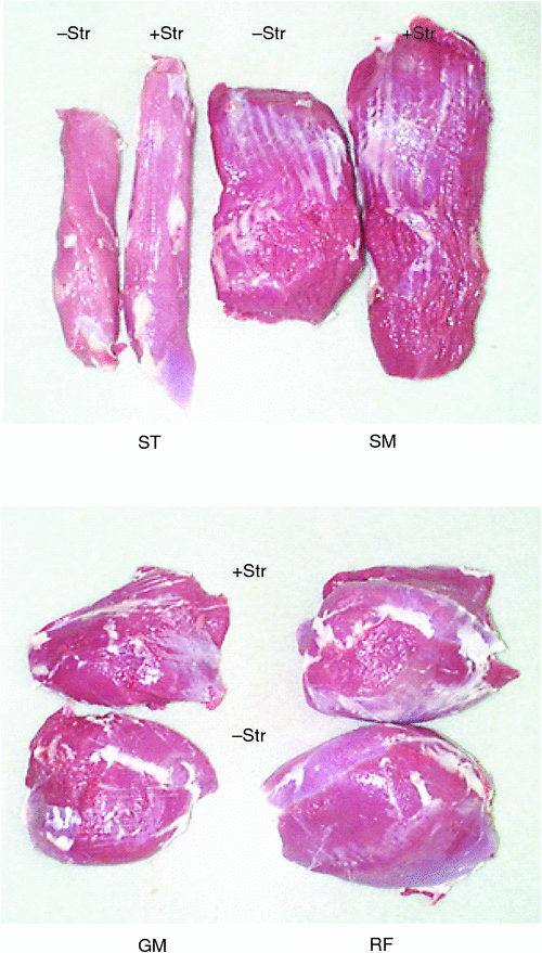 Rigor mortis in meat ppt presentation