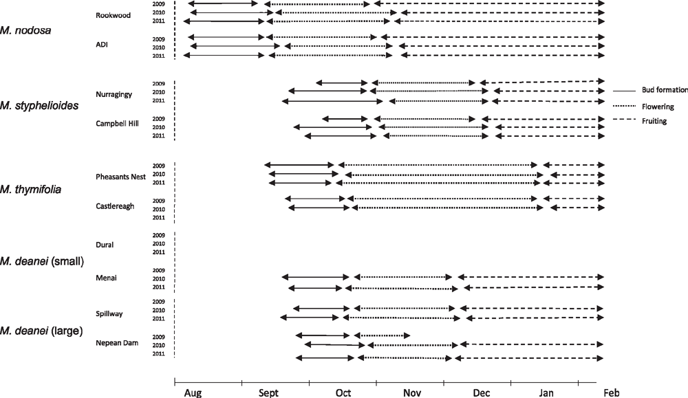 csiro publishing australian journal of botany craven edge full sheet