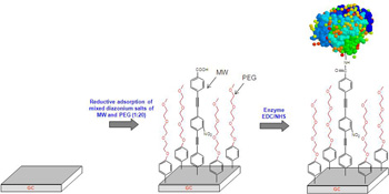 Graphical Abstract Image