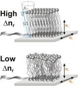 Graphical Abstract Image