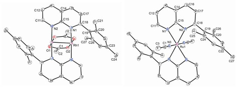 Graphical Abstract Image