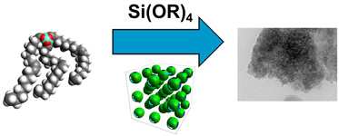 Graphical Abstract Image