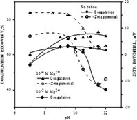 Multivalent Cations Naming