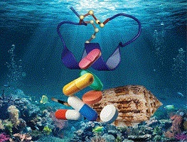 3-D structure of conotoxin Vc1.1 peptide overlaid on image of marine cone snail Conus victoriae and painkiller tablets