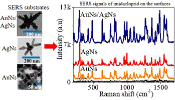 TEM images of the SERS substrates and Raman spectra of imidacloprid on their surface.
