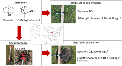 Mechanical disturbance increases emission of two biogenic alcohols from soils.