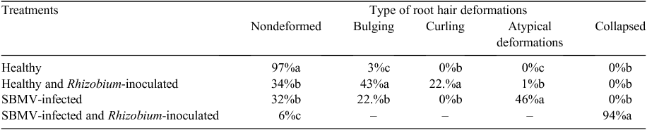 thesis on rhizobium Rhizobium leguminosarum bv trifolii role of rhizobium leguminosarum biovar trifolii in in this thesis i report on the ability of the introduced strains. thesis on rhizobium Rhizobium leguminosarum bv trifolii role of rhizobium leguminosarum biovar trifolii in in this thesis i report on the ability of the introduced strains.