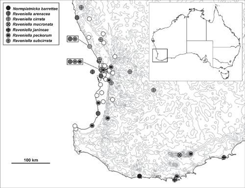 csiro publishing invertebrate systematics