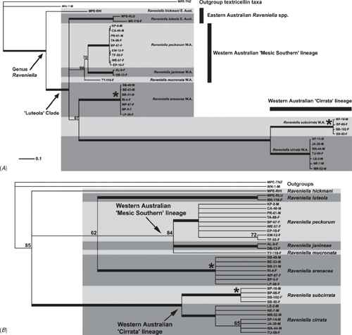 csiro publishing invertebrate systematics