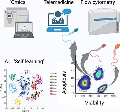 Diagram depicting current and developing forms of sperm analysis, including ‘omics’, flow cytometry, and AI.